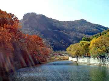 一本草 国产日韩在线，战国水晶杯